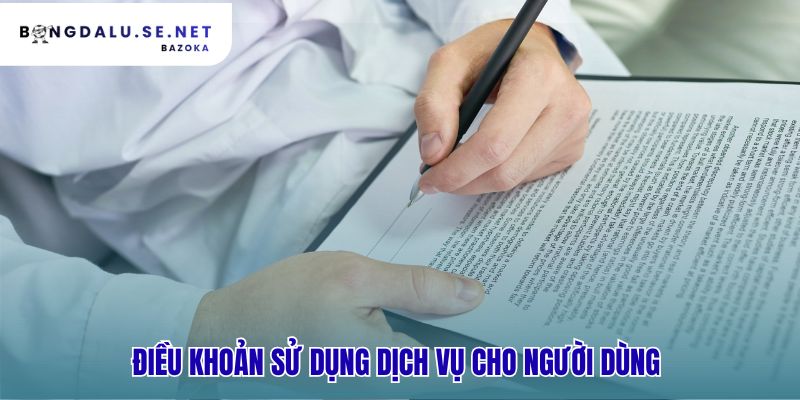 Điều khoản điều kiện quy định trách nhiệm pháp lý của bạn