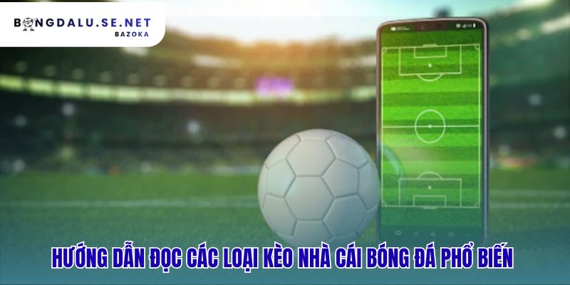 Hướng dẫn đọc kèo nhà cái giải thích bản chất từng loại cược