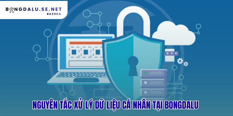Nguyên tắc xử lý dữ liệu luôn hợp pháp công bằng và minh bạch